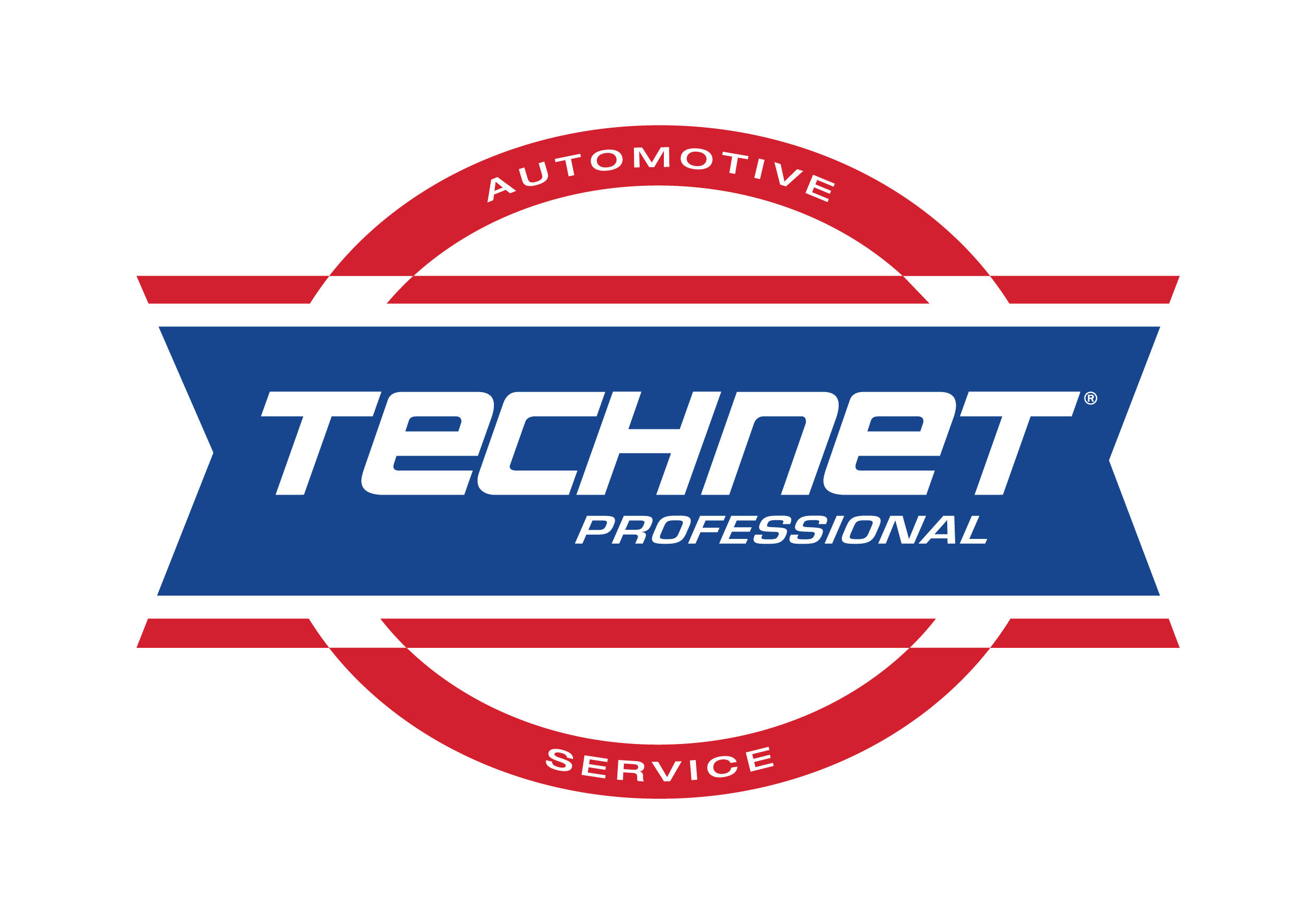TechNet Professionals Logo